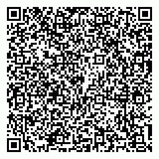 vCard 79100310532