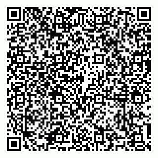 vCard 79100310533