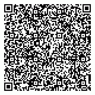 vCard 79100310534
