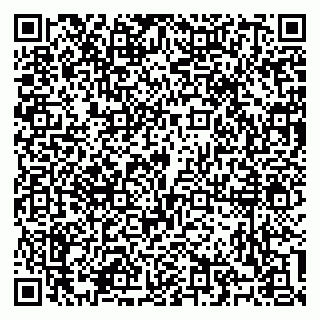 vCard 79100310535