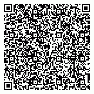 vCard 79100310537
