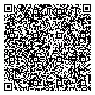 vCard 79100310538