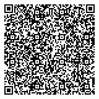 vCard 79100310539