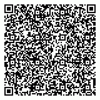 vCard 79100310540