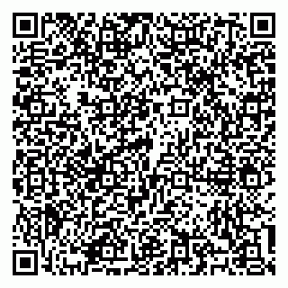 vCard 79100310541