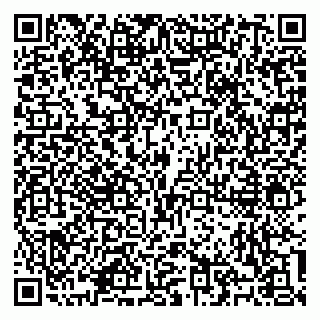 vCard 79100310542