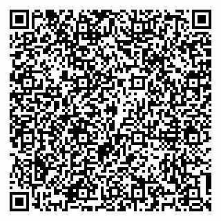vCard 79100310545