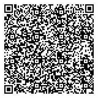 vCard 79100310548