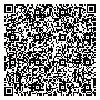 vCard 79100310550