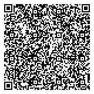 vCard 79100310558