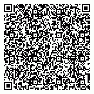 vCard 79100310573