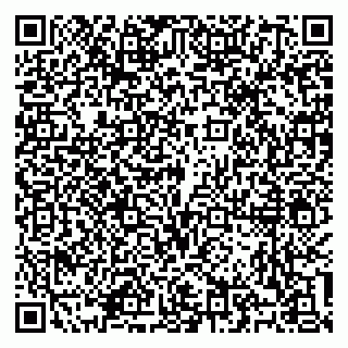 vCard 79100310578