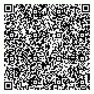 vCard 79100310581