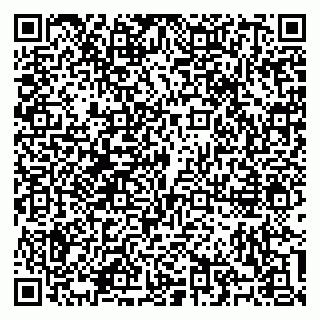 vCard 79100310583