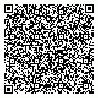 vCard 79100310587