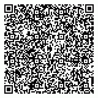 vCard 79100310593