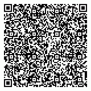 vCard 79100310598