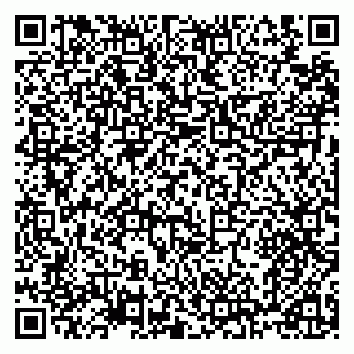 vCard 79100310600