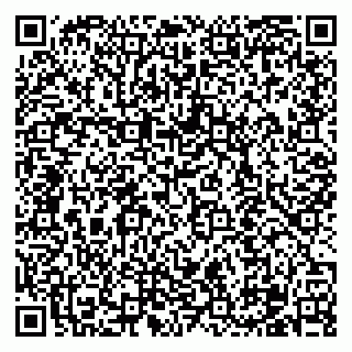 vCard 79100310620