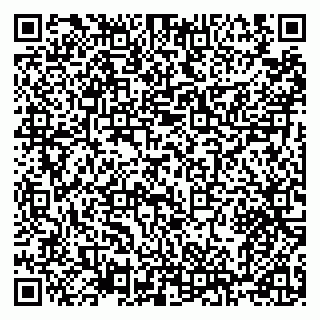 vCard 79100310625