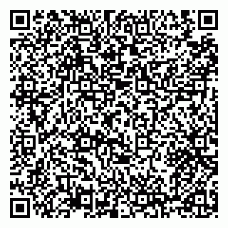 vCard 79100310626