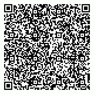 vCard 79100310627