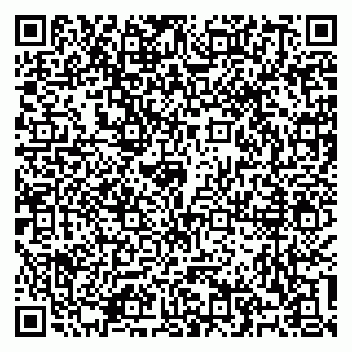 vCard 79100310628