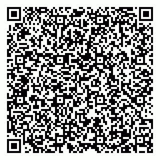 vCard 79100310629