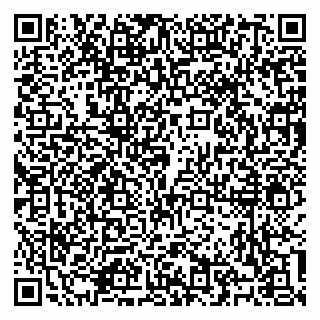 vCard 79100310631