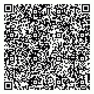 vCard 79100310632