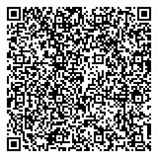 vCard 79100310633