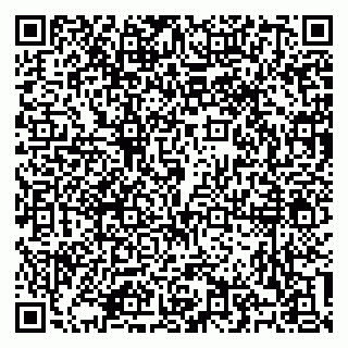 vCard 79100310634