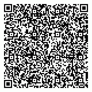 vCard 79100310636