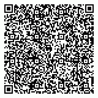 vCard 79100310637