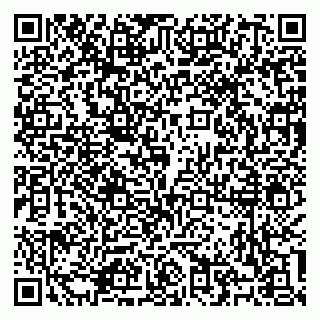 vCard 79100310638