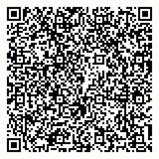 vCard 79100310639