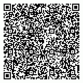 vCard 79100310651