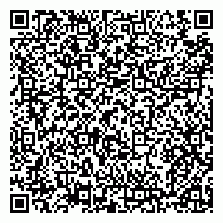 vCard 79100310653