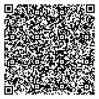 vCard 79100310656