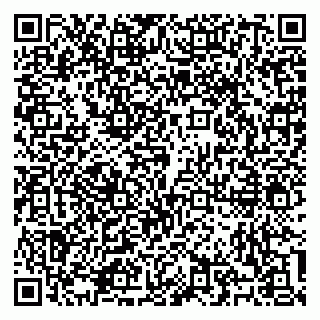 vCard 79100310657