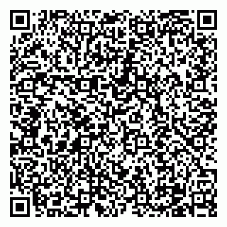 vCard 79100310663