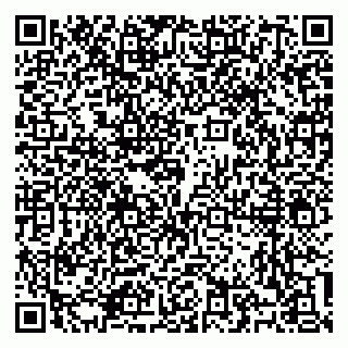 vCard 79100310665