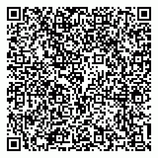 vCard 79100310667