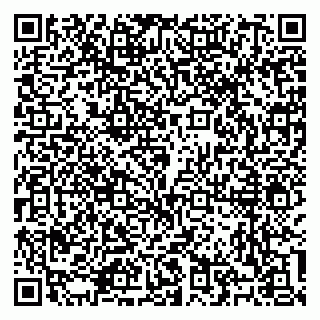 vCard 79100310669