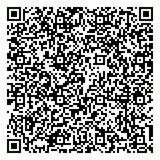 vCard 79100310671
