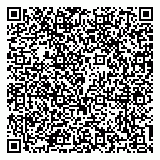 vCard 79100310674