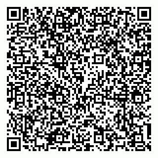 vCard 79100310675