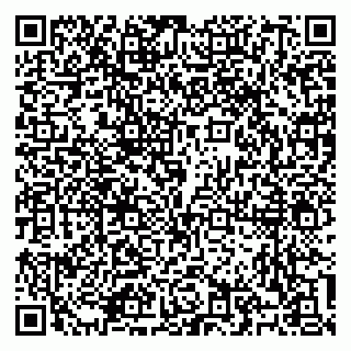 vCard 79100310677
