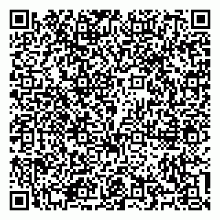 vCard 79100310681