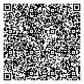 vCard 79100310684
